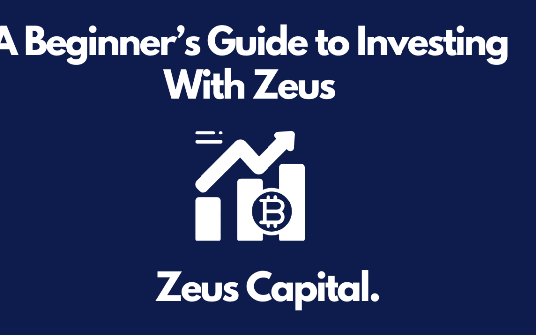 A Beginner’s Guide To Investing With Zeus